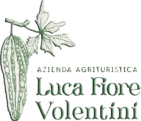 Azienda Agrituristica Luca Fiore Volentini